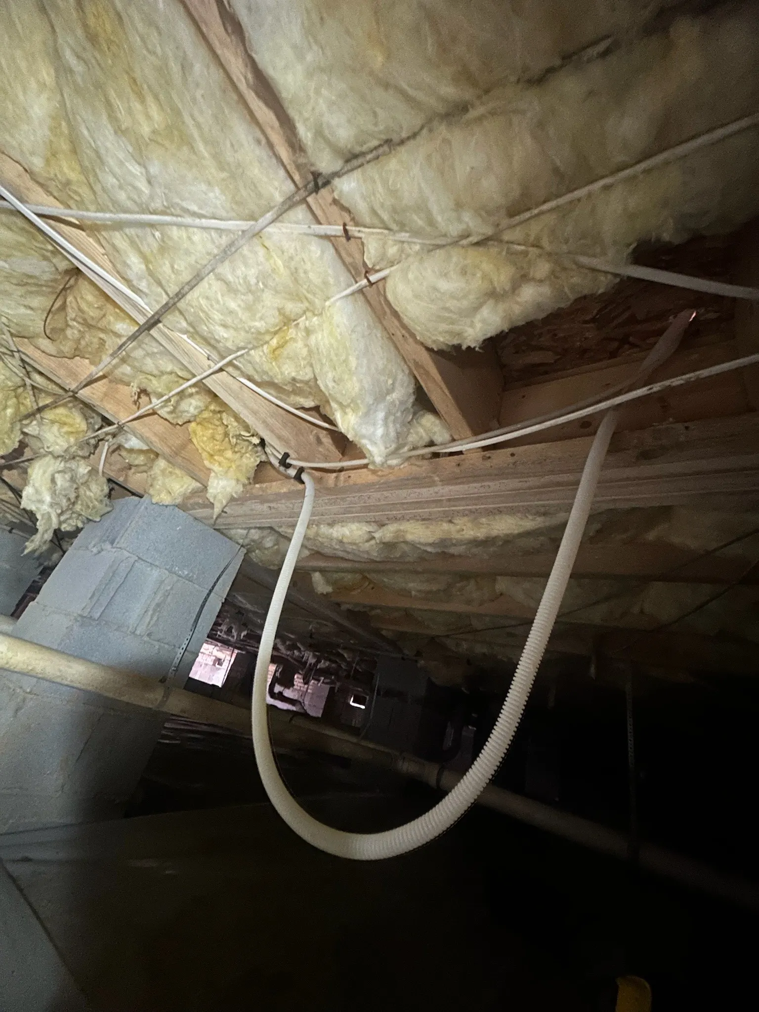 Properly routed dishwasher drain line secured under a kitchen cabinet
