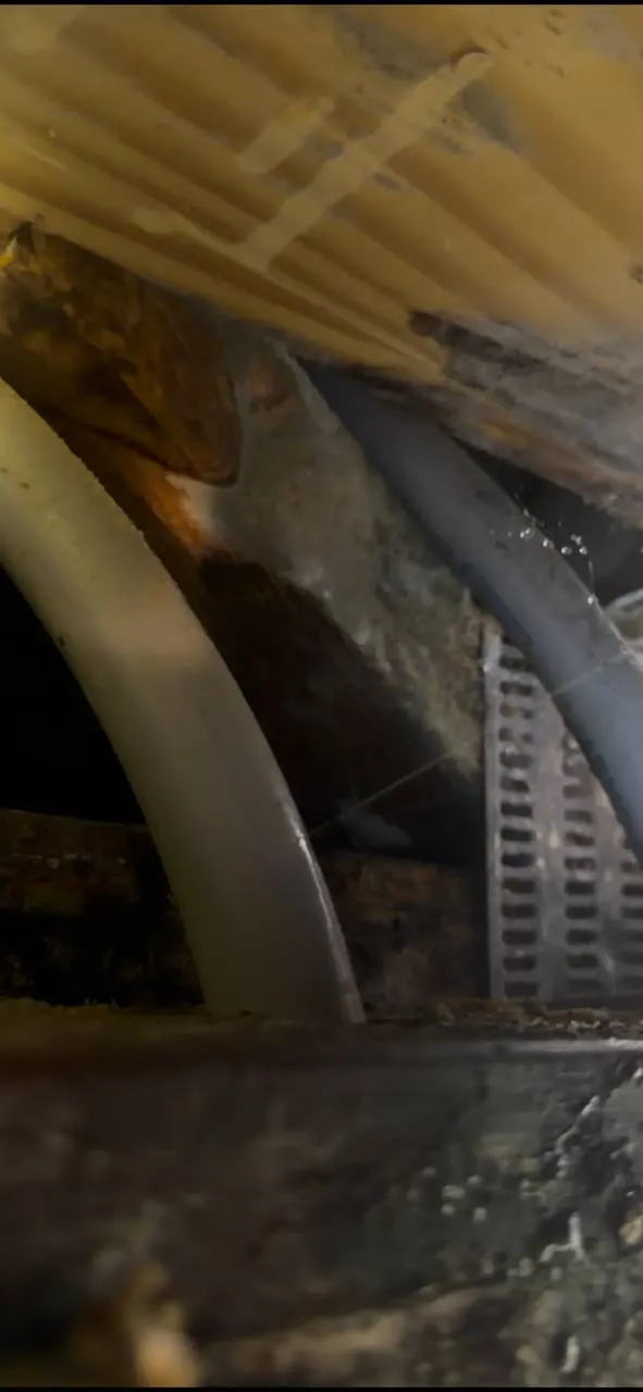 The concealed polybutylene supply pipe inside the wall cavity where the leak was found